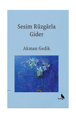 Küçük Oda İzleri – Hüseyin Şahin | Zuzu Kitap